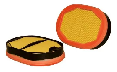 Secondary Air Filter